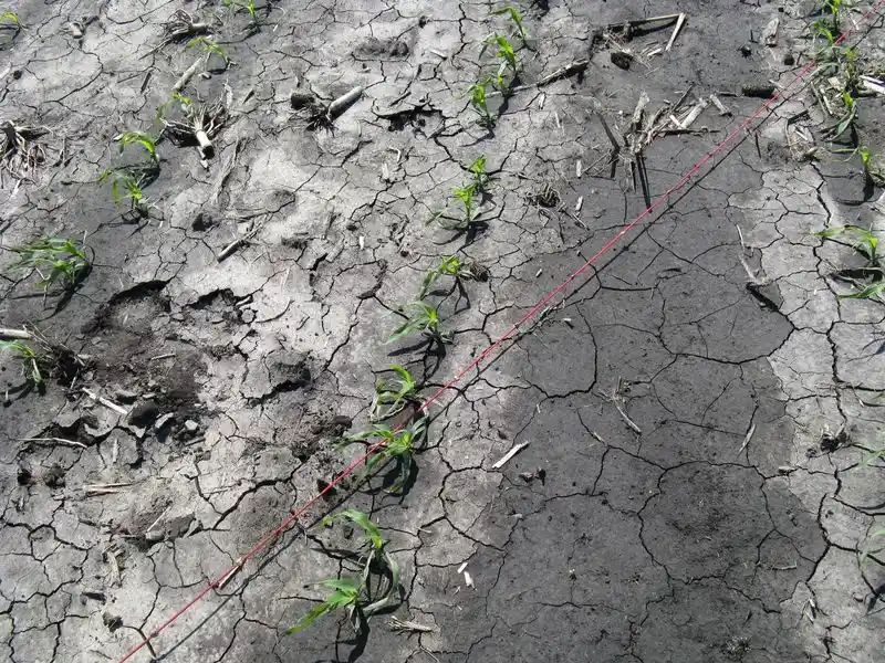 Soil Compaction