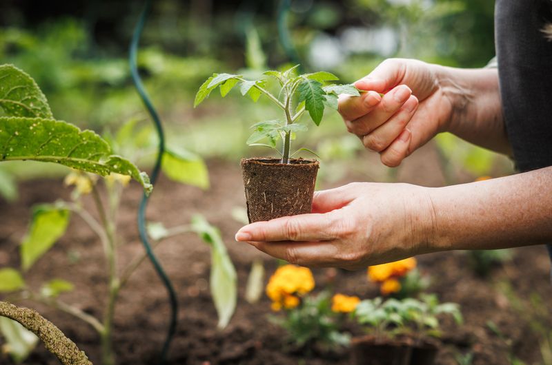 Soil Conditioning