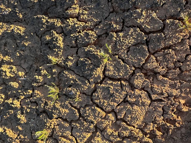 Soil Crusting
