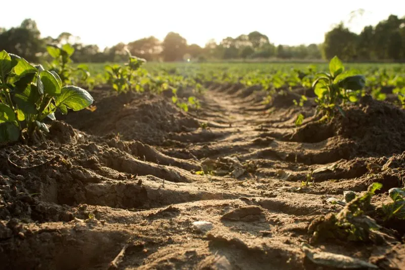 Soil Erosion