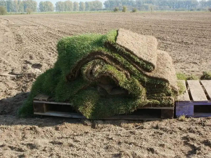 Soil Health Improvement