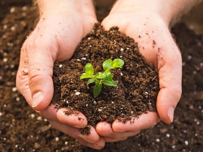 Soil Mixes Are Your Specialty
