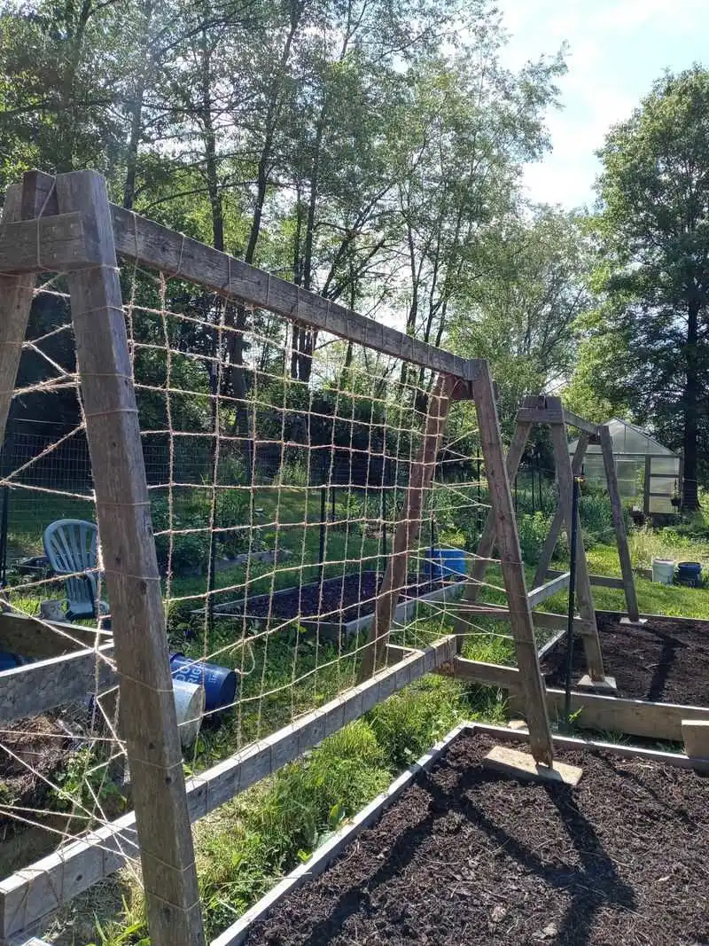 Cloth and Rope Trellis