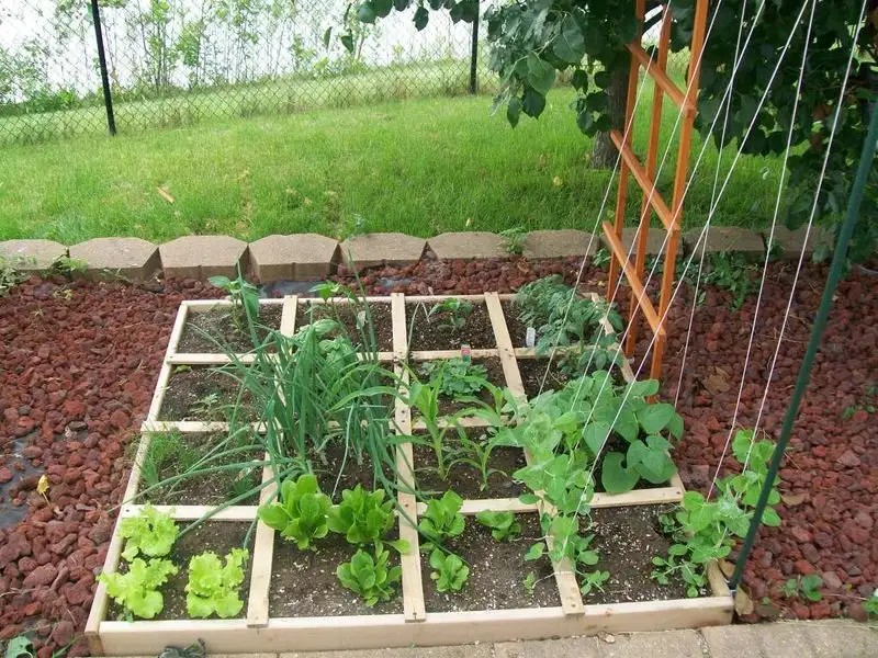 Square Foot Gardening
