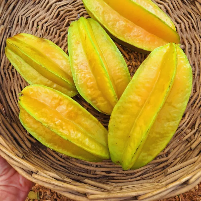 Starfruit (Carambola)
