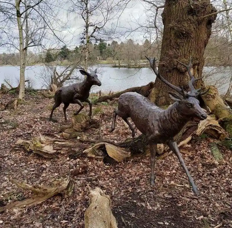 Stately Stag