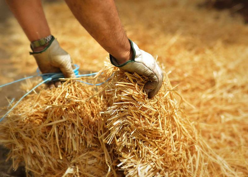 Straw