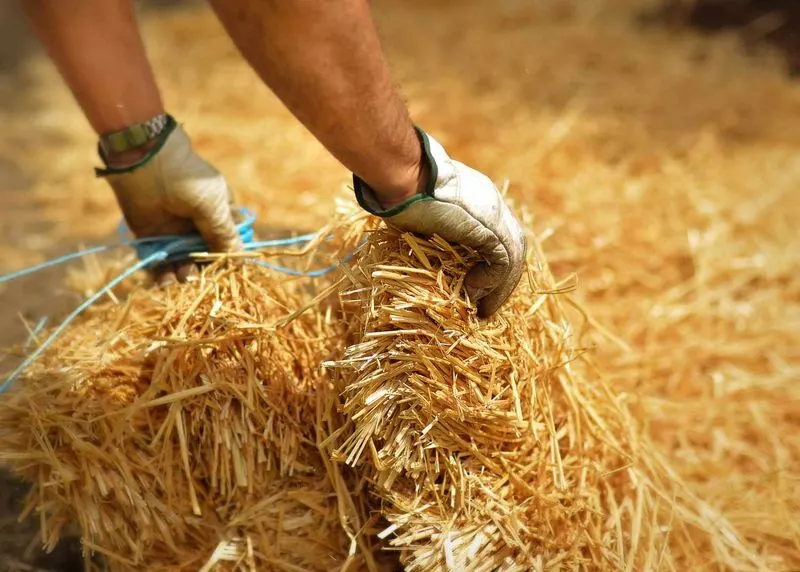 Straw