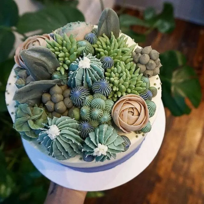 Succulent Delight