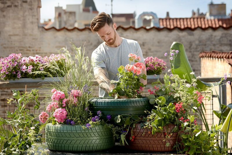 Succulent Sanctuary