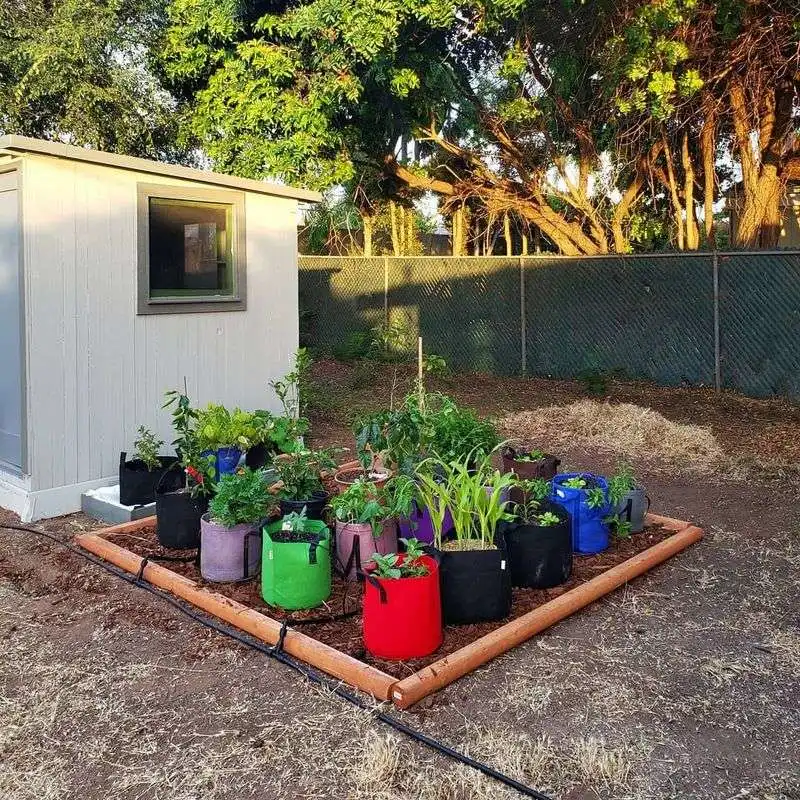 Suitcase Garden Beds