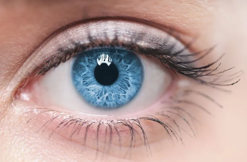 Supports Eye Health