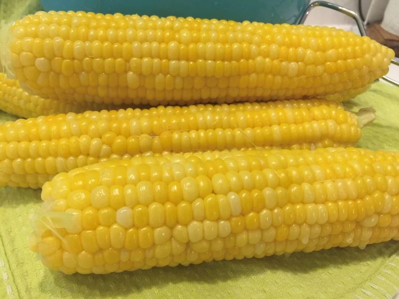 Sweet Corn