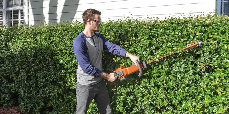 Tackle Hedges