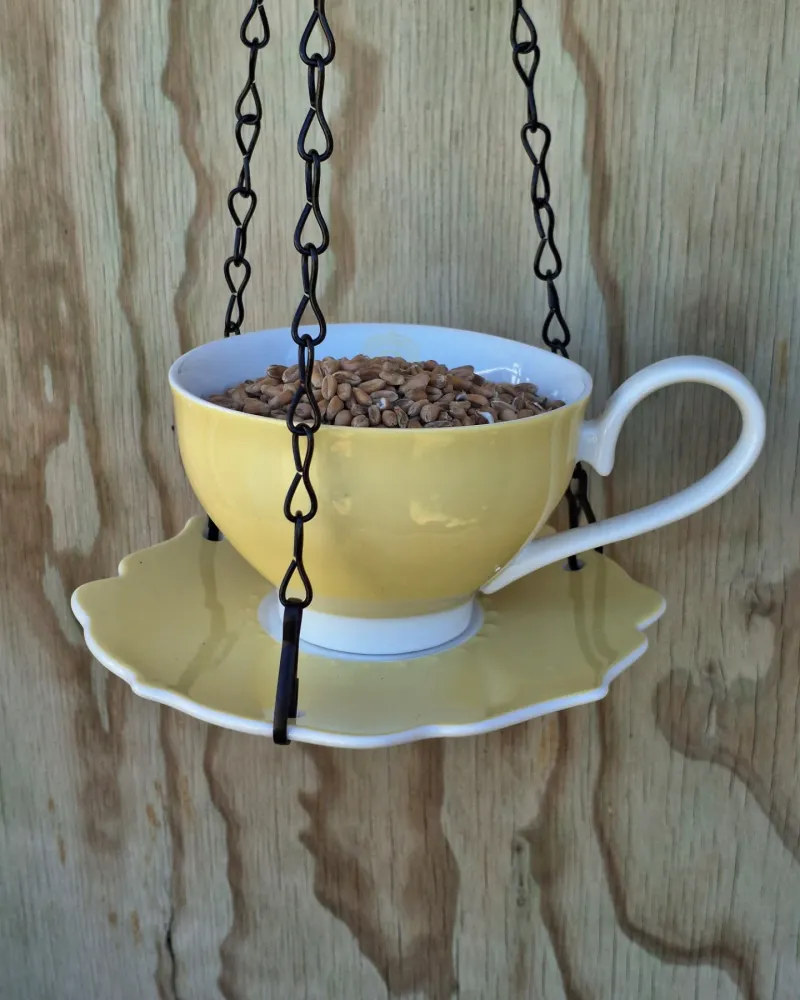 Teacup Bird Feeders