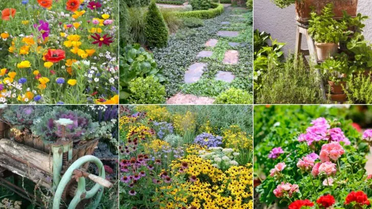 The 14 Cheapest Way to Fill Bare Garden Spots Before Summer Hits