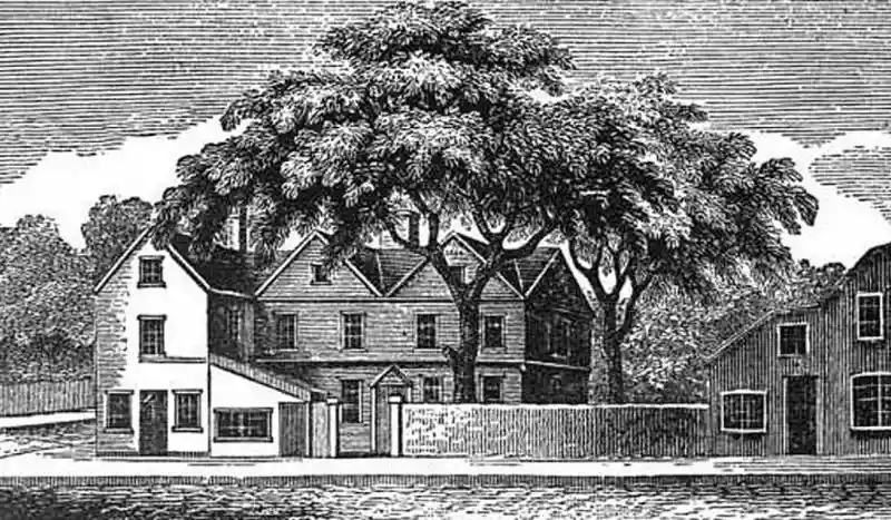 The Liberty Tree