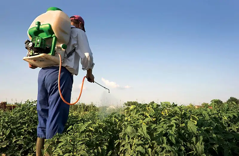 Relying Solely on Synthetic Pesticides