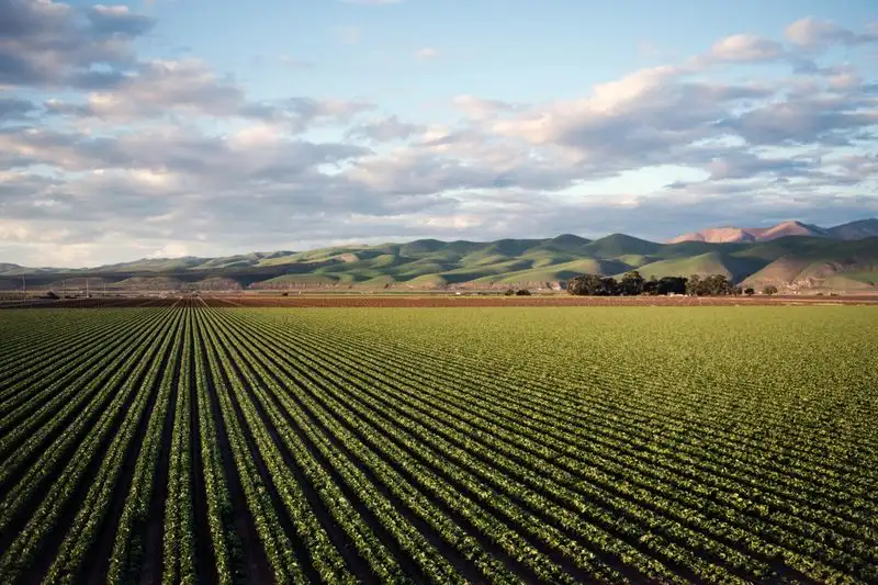 California's Central Valley