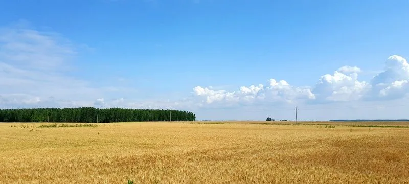 The Great Plains