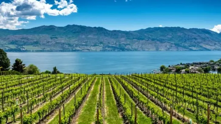 The Most Fertile Soil Regions in North America Revealed