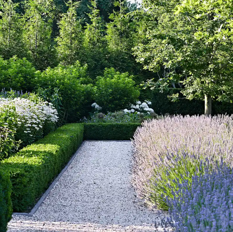 The Pitfall of Trend-Driven Plant Choices
