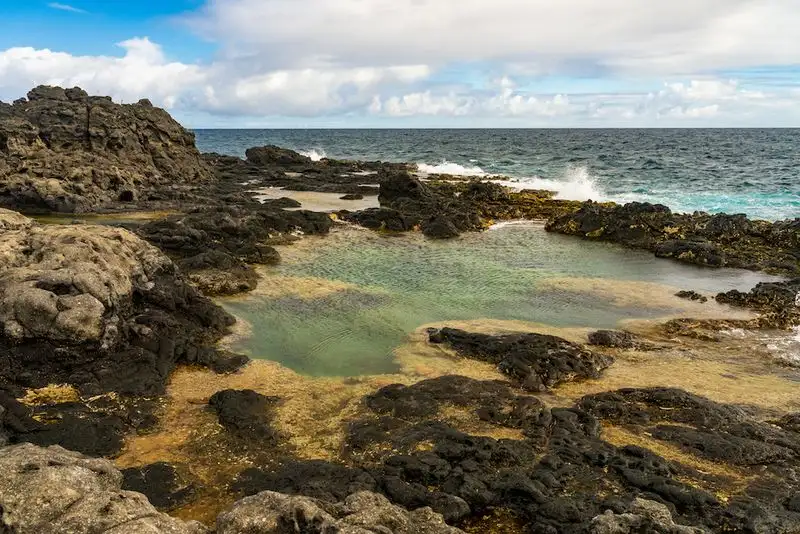 Tidal Pool Features