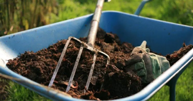 Chemical Fertilizers