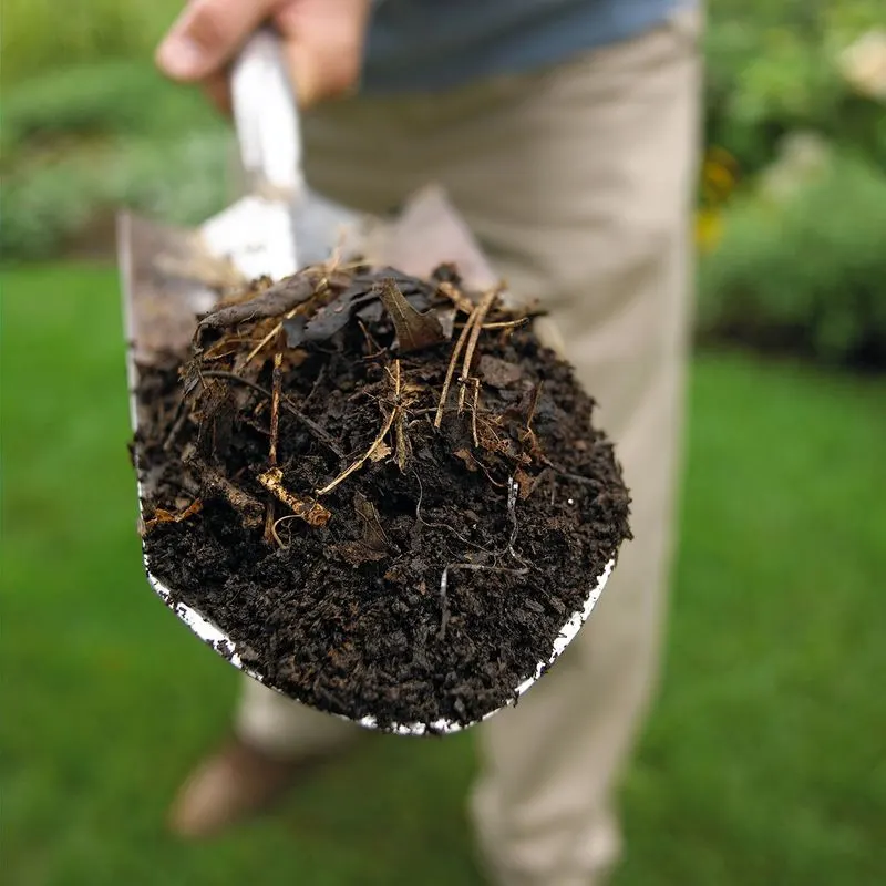 Tip 2: Incorporate Organic Matter