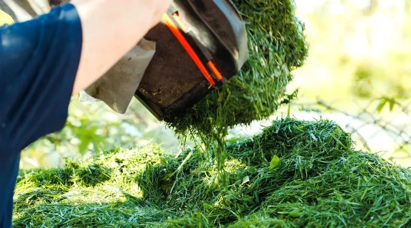 Too Much Green Material