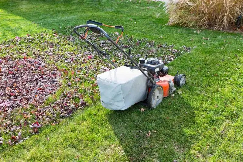 Lawn Mowers with Mulching Blades