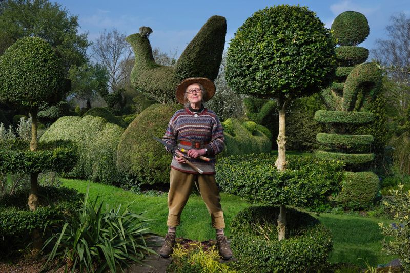Topiary Art