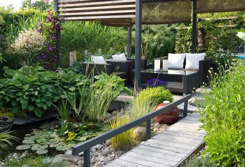 Tranquil Water Garden