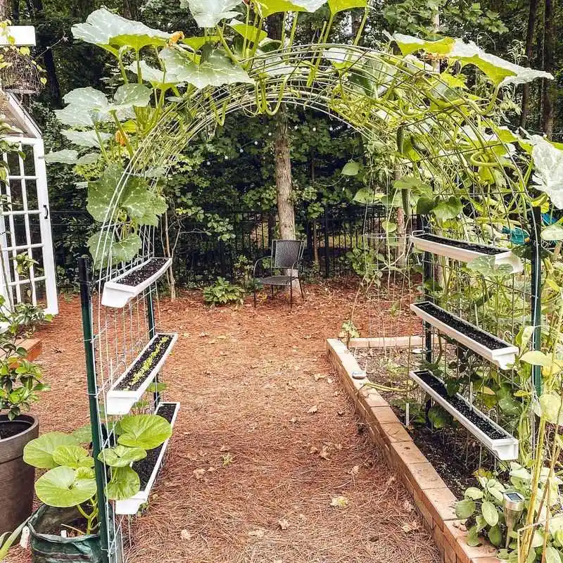 Trellis Garden