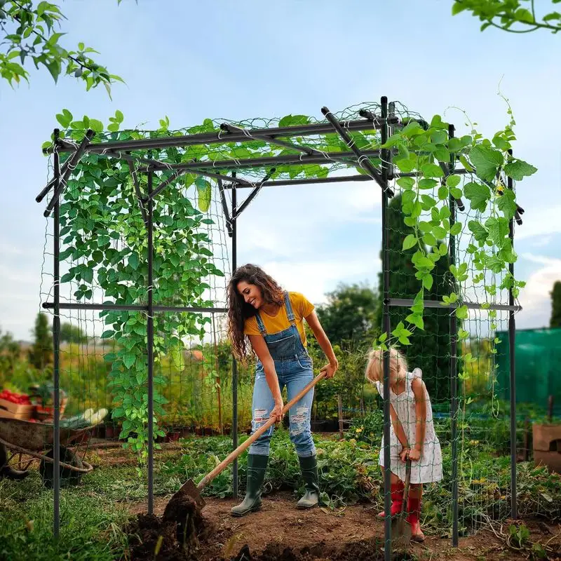 Trellises and Arbors