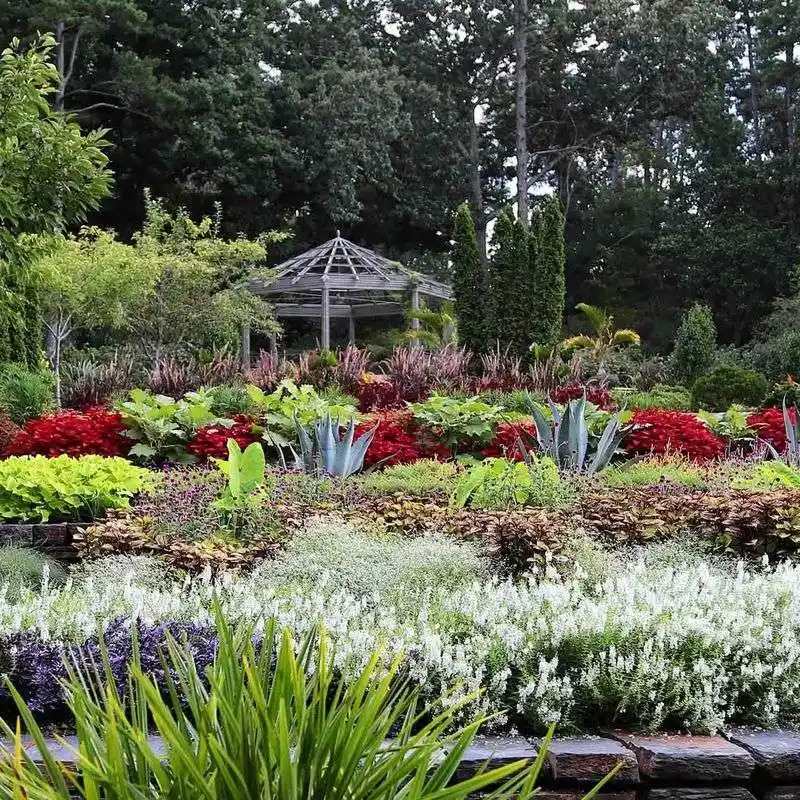 Tundra Terrace