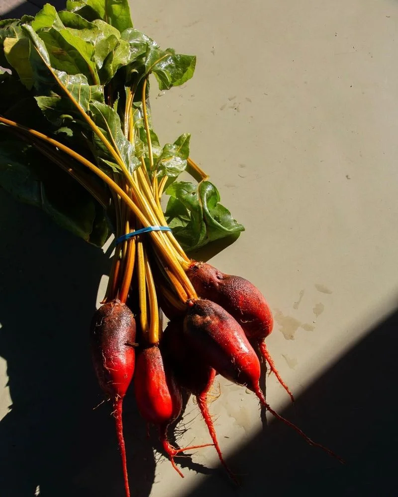 Lumpy Beet