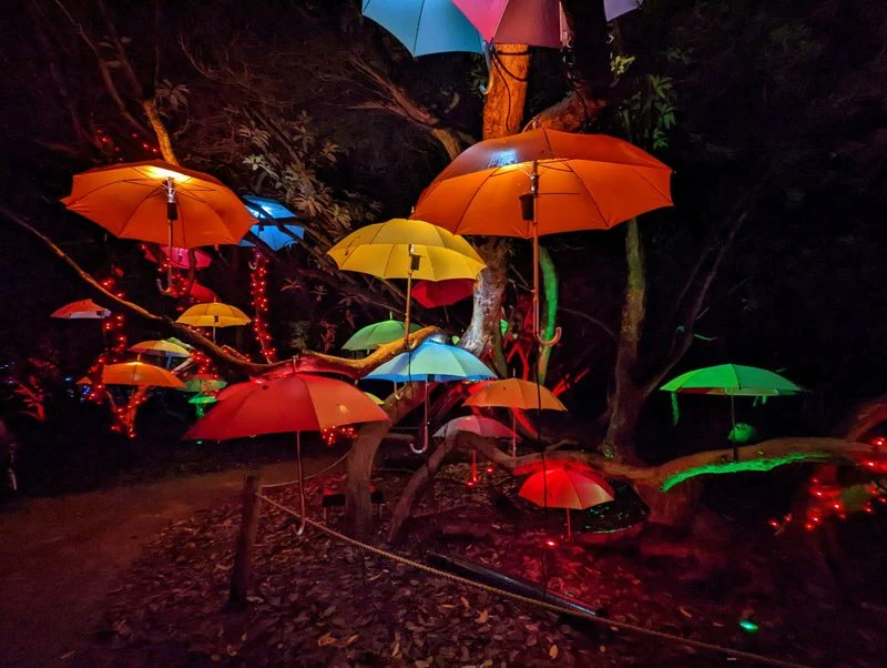 Umbrella Light Show