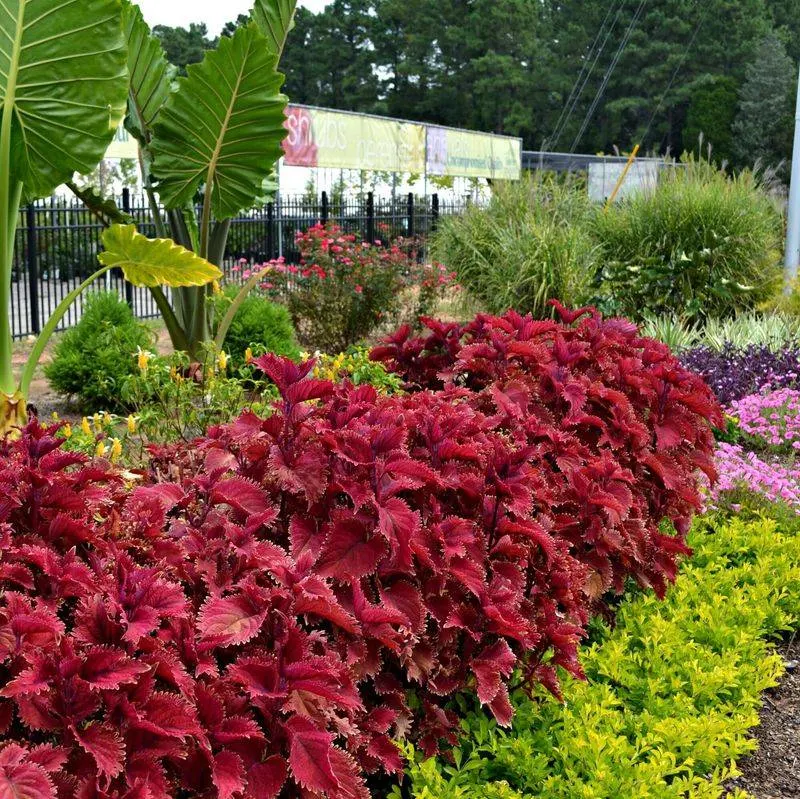 Ignoring Seasonal Transitions