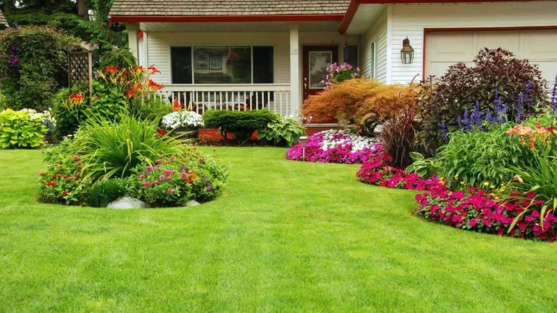 Budget-Friendly Lawn Care Tips