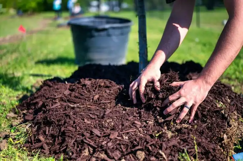 Implement Mulching Techniques