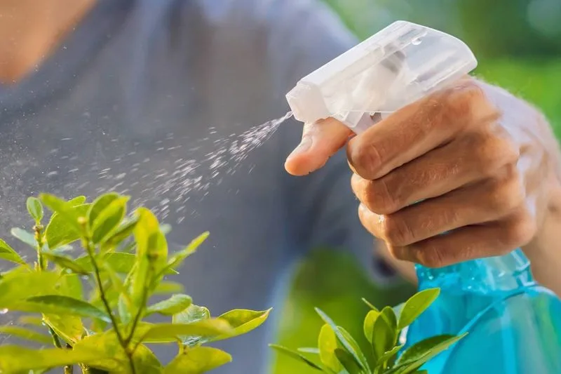 Use Soap and Water