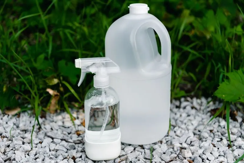 Use Vinegar Spray