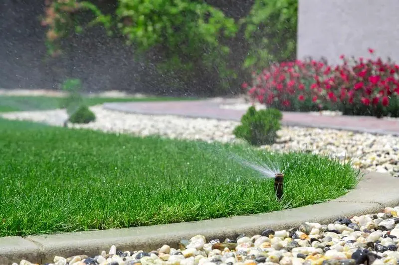 Use Water-Efficient Irrigation