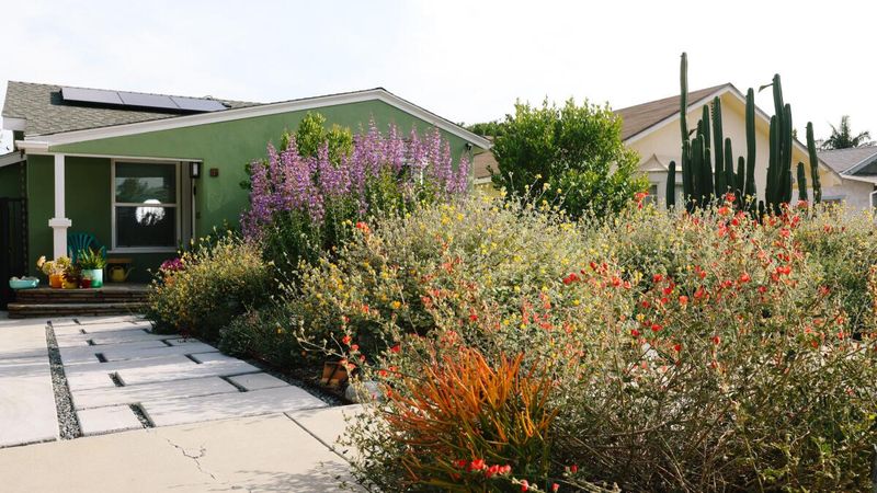 Ignoring Native Plants