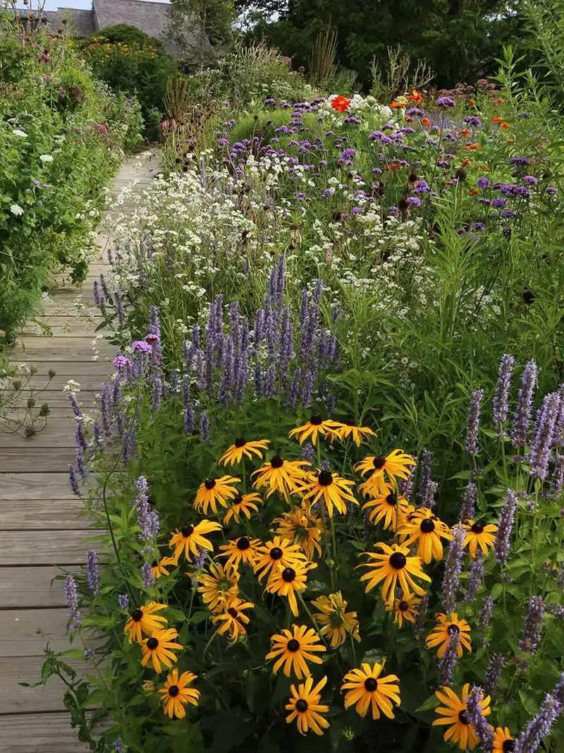 Pristine Garden Beds