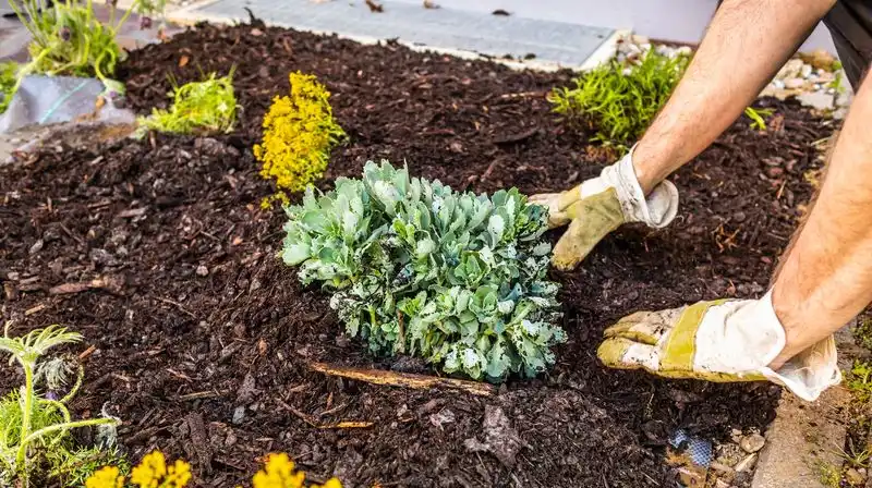 Neglecting Mulch Depth
