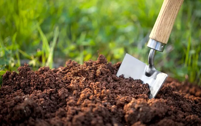 Simple Soil Amendments for Flavor