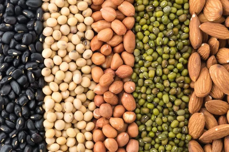 Using Only Organic Seeds