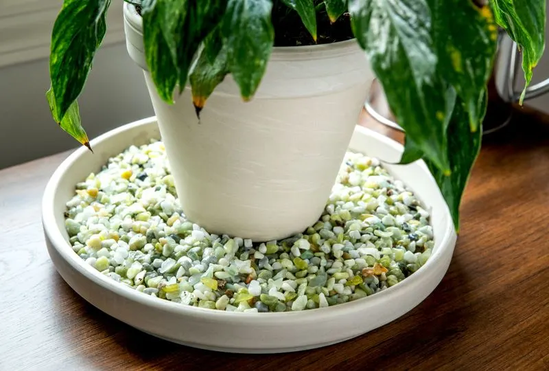 Using Pebble Trays